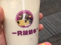 -一只酸奶牛(八一路店)
