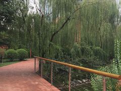 -兰州马子禄牛肉面(文景公园店)