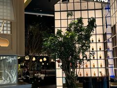 -桂满陇·海市蜃楼·黑金(国金店)