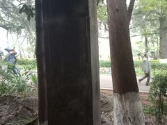 -昆明动物园