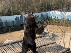 -济南野生动物世界