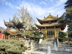 -上海东林寺(金山区)