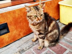 -宜兴隆家宴·私房菜(泰安华庭店)