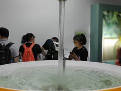 -陕西自然博物馆