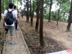 -火炉山森林公园