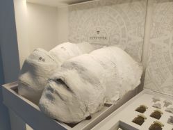 -Cream88颜皮肤管理中心