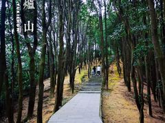 -火炉山森林公园