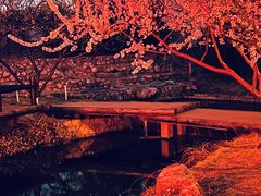 -三里河公园