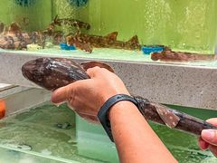 -至尊鲨鱼·原烹海鲜·新浙菜(拱宸桥店)