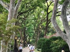 -上海醉白池公园