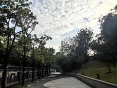 -广州七星岗古海岸遗址科学公园