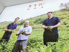 -东方红·湖南菜(金屿店)