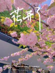 -WAVE SODA摄影工作室