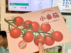 -夏日百货