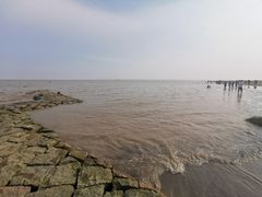 -南汇嘴观海公园