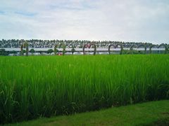 -迪茵湖田家舍生态农场