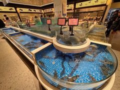 -渔人码头(中南店)