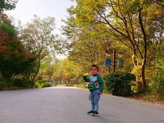 -南京市江宁方山