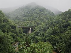 -西双版纳原始森林公园