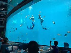 -瑞德姆美人鱼海底演艺主题餐厅(亚龙湾店)