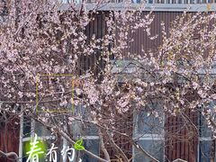 -南翠屏公园