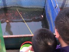 -白塘生态植物园