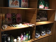 -御宝贝·A梦猫科宠物医院(国际猫友好医院)