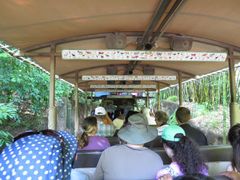 -奥兰多迪士尼动物王国乐园