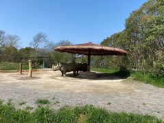 -宁波野生动物园