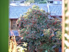 -宣科纳西古乐·非遗音乐(大水车店)