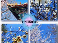 -北海公园