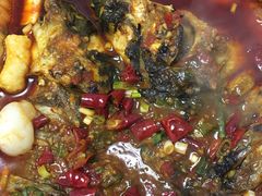 -鱼酷活鱼烤鱼(昆明路店)