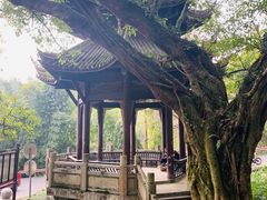 -峨眉山报国寺