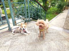 -安安宠医宠物医院·异宠·犬猫内科(岳阳分院)