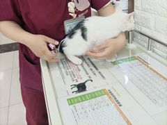 -美联众合动物医院·24h京西诊疗中心