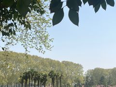 -河南省黄河迎宾馆