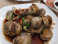 爆炒芒果贝-鑫鸿达·海鲜闽菜热炒小馆(中山路店)