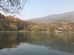 -紫霞湖公园