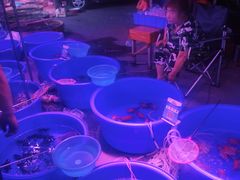 -中环花鸟鱼虫市场