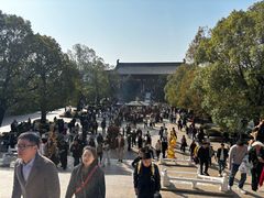 -庐山风景名胜区-东林大佛