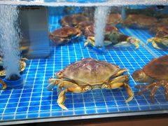 -七鲜超市(通州ONE店)
