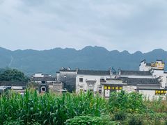 -黟县屏山村