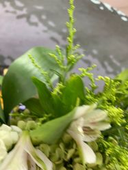 -HEYAN荷妍专业脱毛连锁机构