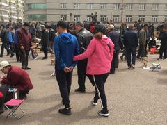 -哈尔滨道外花鸟鱼市场