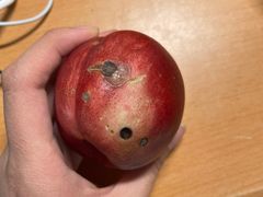 -胡麻地果研所(兰州中心BM店)