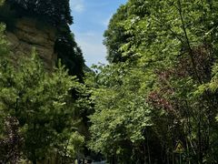 -少华山国家森林公园