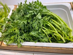 -许小树(国贸商城店)