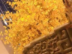 -大东方海鲜酒楼(小武基桥店)