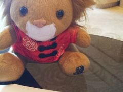 上海浦东丽思卡尔顿-北外滩套房夜床礼物-上海浦东丽思卡尔顿酒店