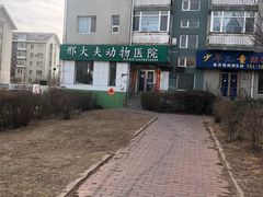 -邢大夫动物医院